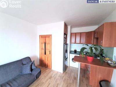 Pronájem bytu 1+KK Frýdek-Místek, Smetanova č. 1