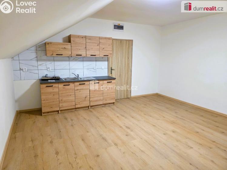 Pronájem bytu 1+KK Starý Jičín č. 1