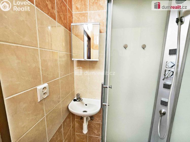 Pronájem bytu 1+1 Verneřice, Příbramská č. 7