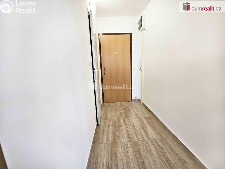 Pronájem bytu 1+1 Verneřice, Příbramská č. 11