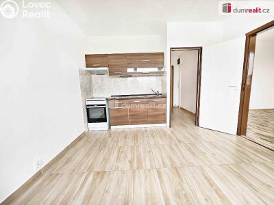 Pronájem bytu 1+1 Verneřice, Příbramská č. 1