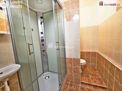 Pronájem bytu 1+1 Verneřice, Příbramská č. 3