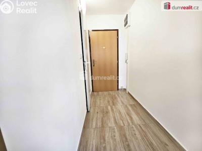 Pronájem bytu 1+1 Verneřice, Příbramská č. 5