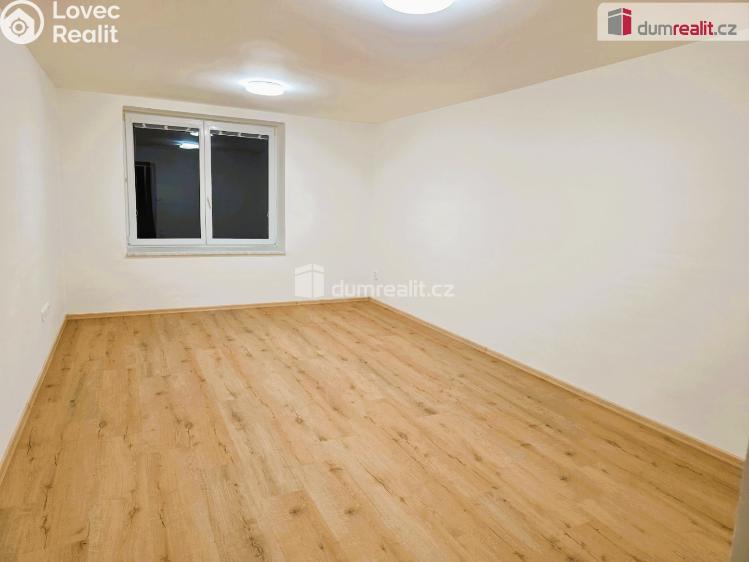 Rent apartment 1+1 Starý Jičín č. 2