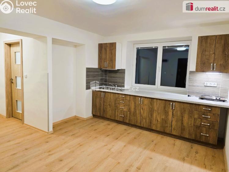 Rent apartment 1+1 Starý Jičín č. 3