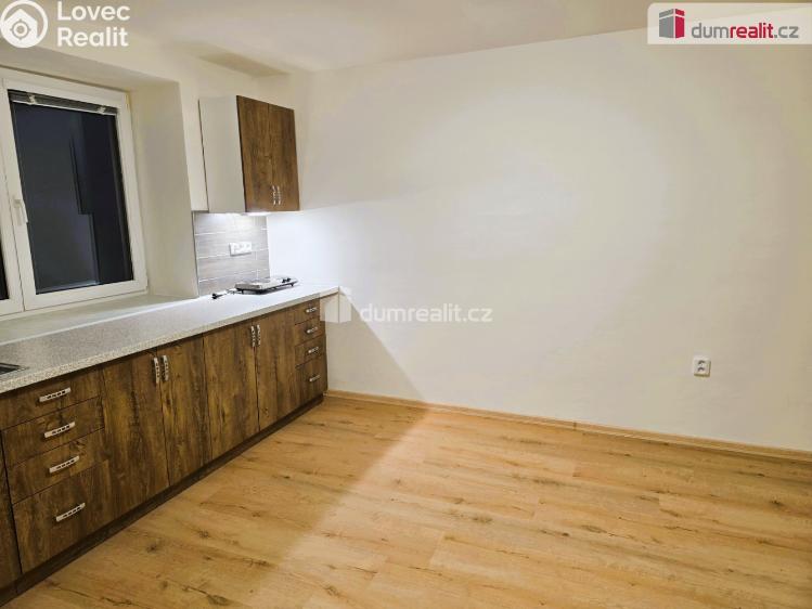 Rent apartment 1+1 Starý Jičín č. 10