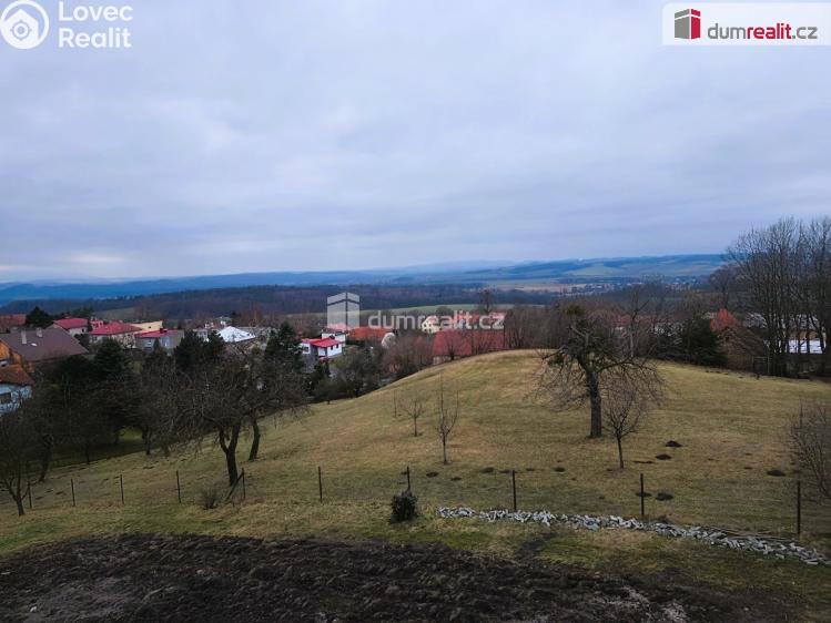 Rent apartment 1+1 Starý Jičín č. 11