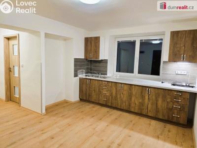 Rent apartment 1+1 Starý Jičín č. 3
