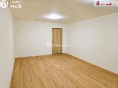 Rent apartment 1+1 Starý Jičín č. 4