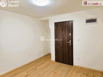 Rent apartment 1+1 Starý Jičín č. 5