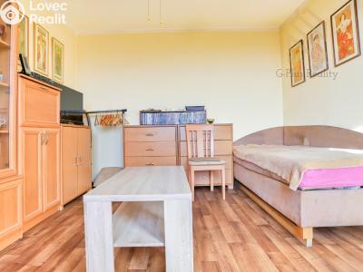 Pronájem bytu 1+1 Krupka, Karla Čapka 259 č. 3