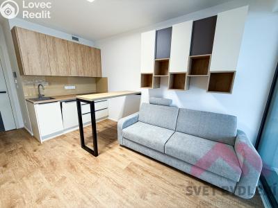 Pronájem bytu 1+KK Praha 3, Šrámkové č. 1