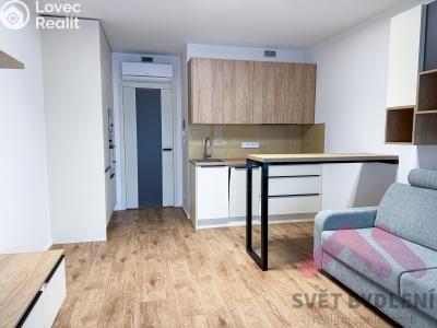 Pronájem bytu 1+KK Praha 3, Šrámkové č. 2