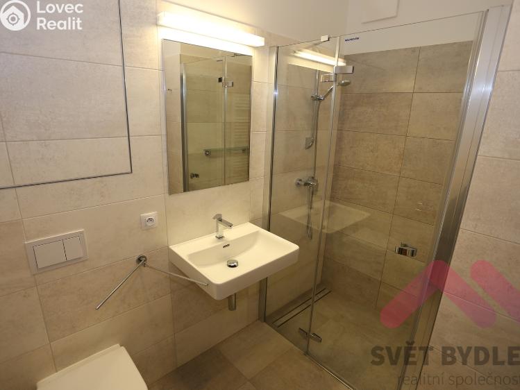 Pronájem bytu 1+KK Praha, U Mlýnského kanálu 696/2 č. 12