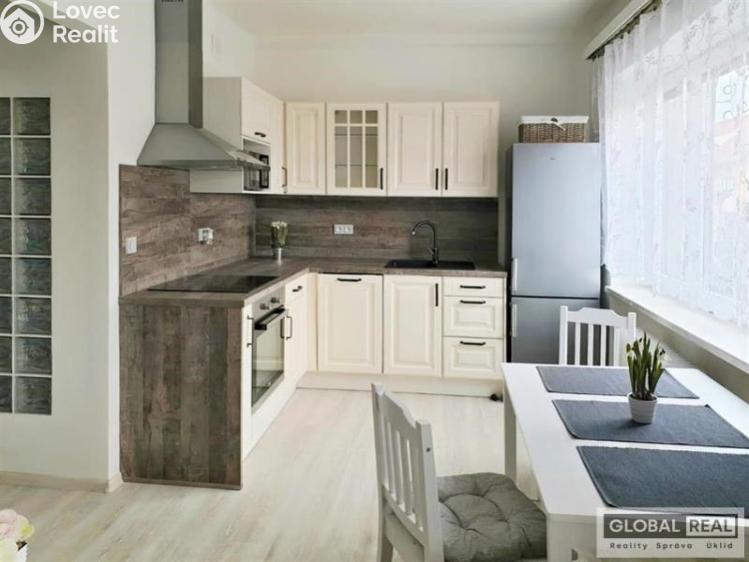 Pronájem bytu 2+1 Jihlava, Erbenova č. 14