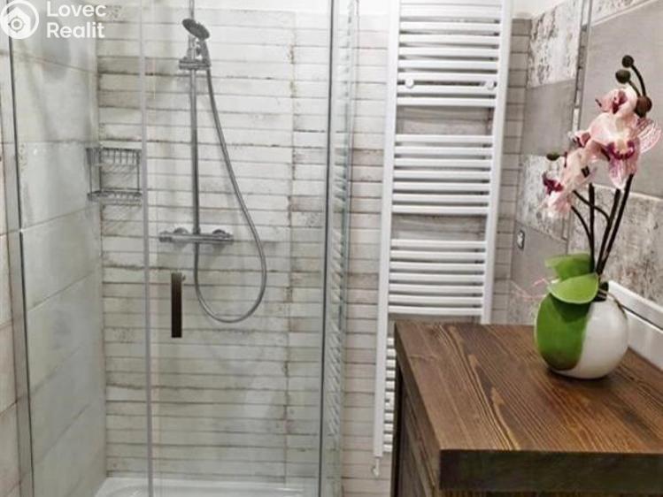 Pronájem bytu 2+1 Jihlava, Erbenova č. 2