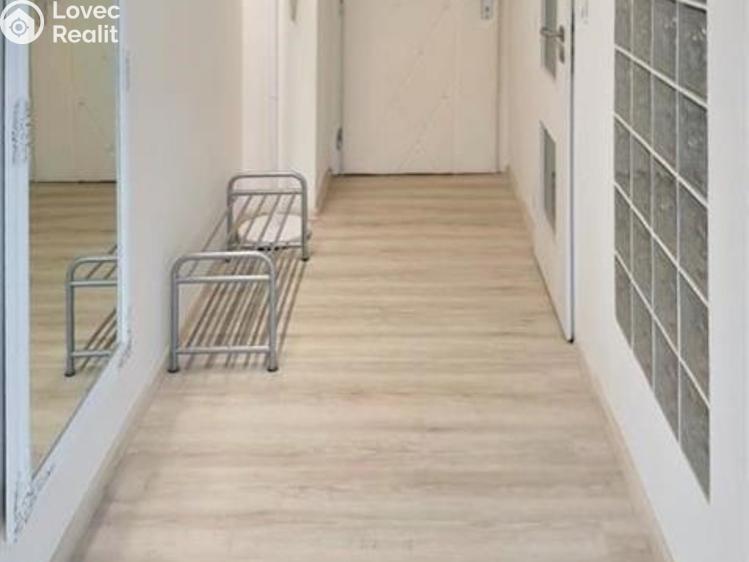 Pronájem bytu 2+1 Jihlava, Erbenova č. 12