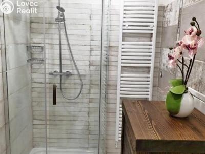 Pronájem bytu 2+1 Jihlava, Erbenova č. 2