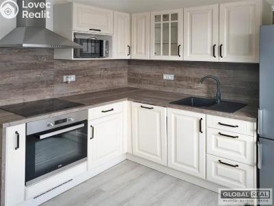 Pronájem bytu 2+1 Jihlava, Erbenova č. 3