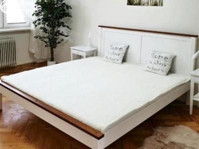 Pronájem bytu 2+1 Jihlava, Erbenova č. 6