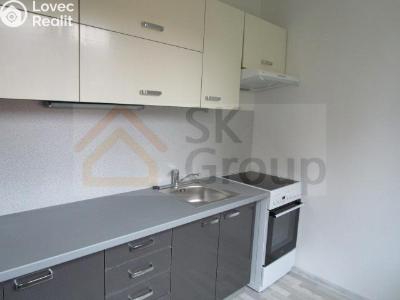 Pronájem bytu 1+1 Karlovy Vary, Charkovská č. 1