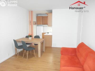 Pronájem bytu 2+KK Litoměřice, Alfonse Muchy č. 4