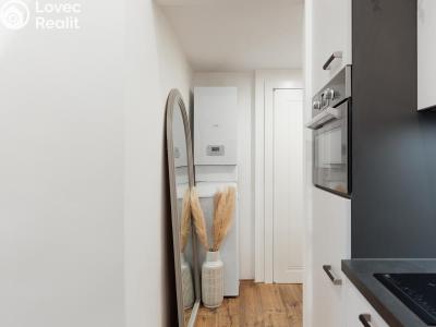 Продаж квартири 3+KK Praha, Kaizlovy sady č. 12