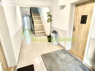 Pronájem bytu 1+KK Břeclav, Lednická č. 3