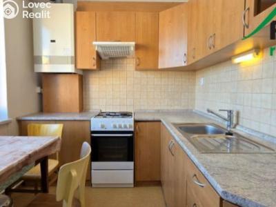 Продажа квартиры 3+1 Konstantinovy Lázně, Zahradní č. 9
