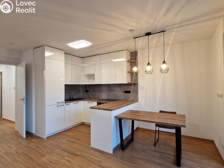 Pronájem bytu 2+KK České Budějovice, Šroubárenská 1358/28 č. 1