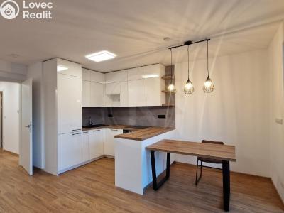 Pronájem bytu 2+KK České Budějovice, Šroubárenská č. 1