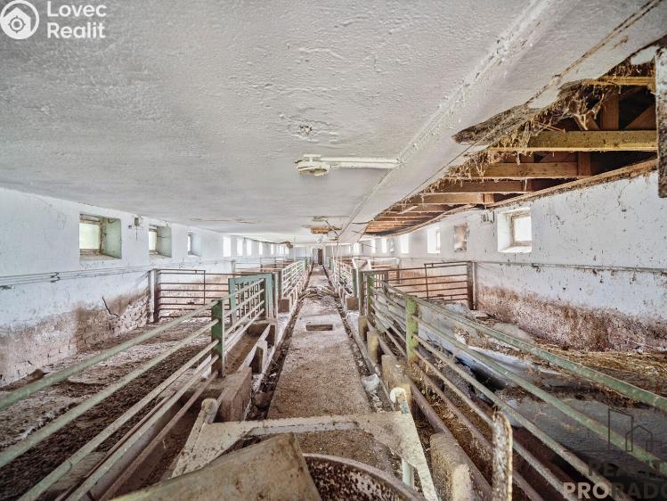 Prodej zemědělského objektu Přelouč č. 22