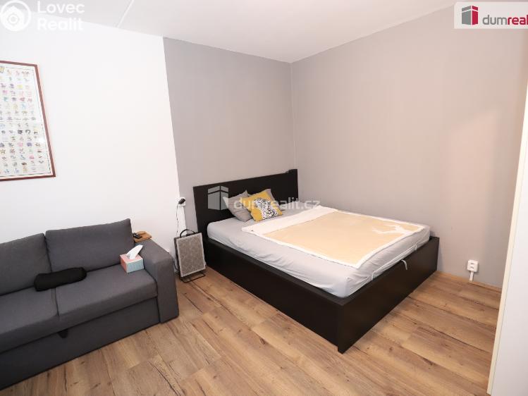 Аренда квартиры 1+1 Mariánské Lázně, Za Tratí č. 4