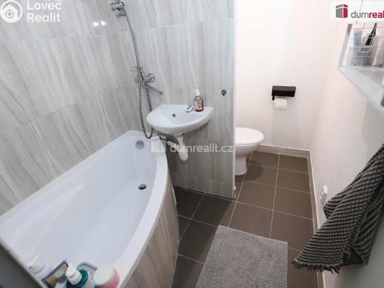 Аренда квартиры 1+1 Mariánské Lázně, Za Tratí č. 12