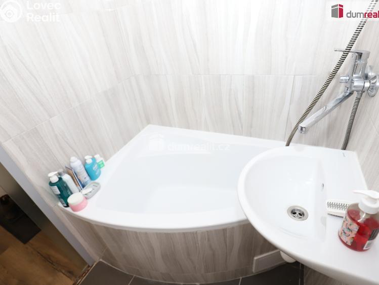 Аренда квартиры 1+1 Mariánské Lázně, Za Tratí č. 13