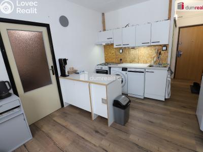 Rent apartment 1+1 Mariánské Lázně, Za Tratí č. 2