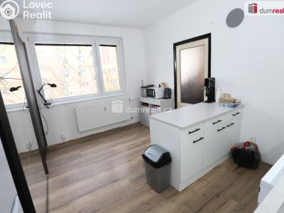 Rent apartment 1+1 Mariánské Lázně, Za Tratí č. 3