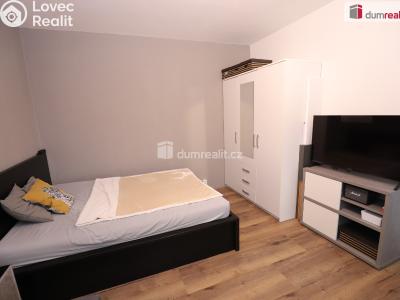 Rent apartment 1+1 Mariánské Lázně, Za Tratí č. 5