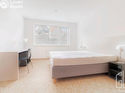 Pronájem bytu 1+KK Praha, Křížová č. 2