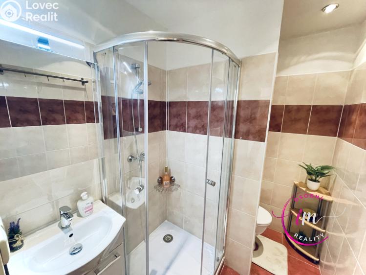 Pronájem bytu 1+1 Jihlava, Březinova č. 3