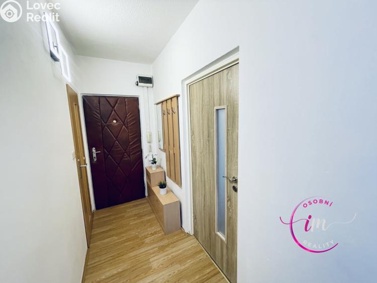 Pronájem bytu 1+1 Jihlava, Březinova č. 4
