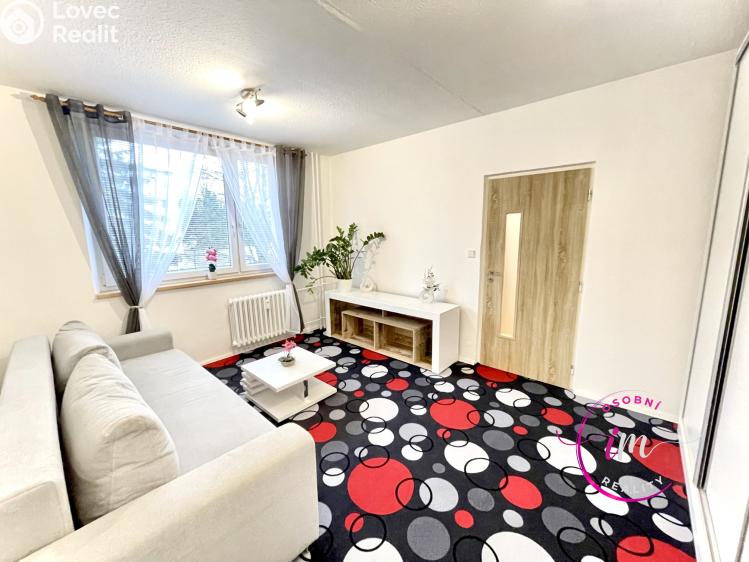 Pronájem bytu 1+1 Jihlava, Březinova č. 6