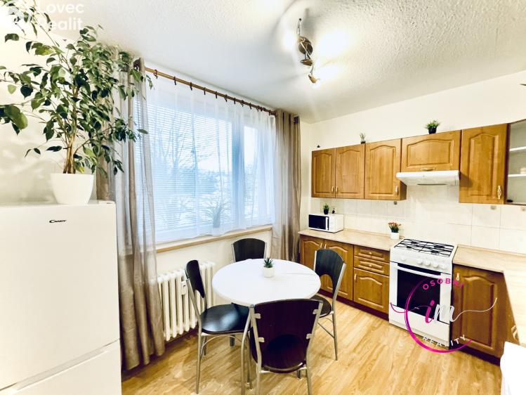 Pronájem bytu 1+1 Jihlava, Březinova č. 7