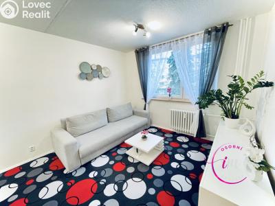 Pronájem bytu 1+1 Jihlava, Březinova č. 1