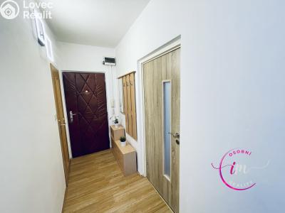 Pronájem bytu 1+1 Jihlava, Březinova č. 4