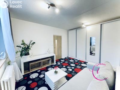 Pronájem bytu 1+1 Jihlava, Březinova č. 5