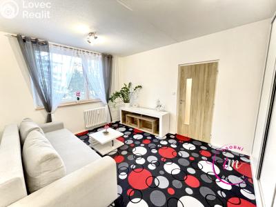 Pronájem bytu 1+1 Jihlava, Březinova č. 6