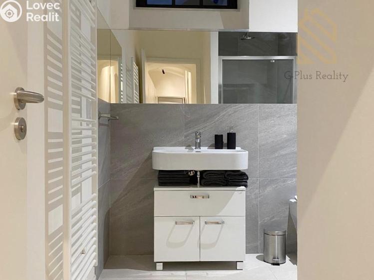 Pronájem bytu 3+KK Rudník č. 8