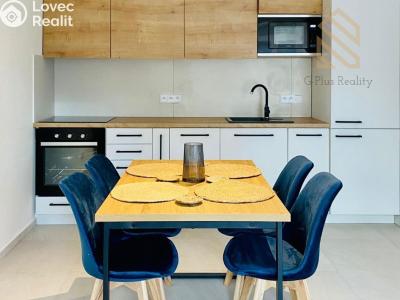 Оренда квартири 3+KK Rudník č. 1