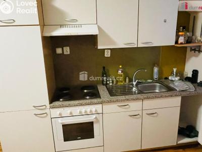 Pronájem bytu 1+KK České Budějovice, Jírovcova č. 1